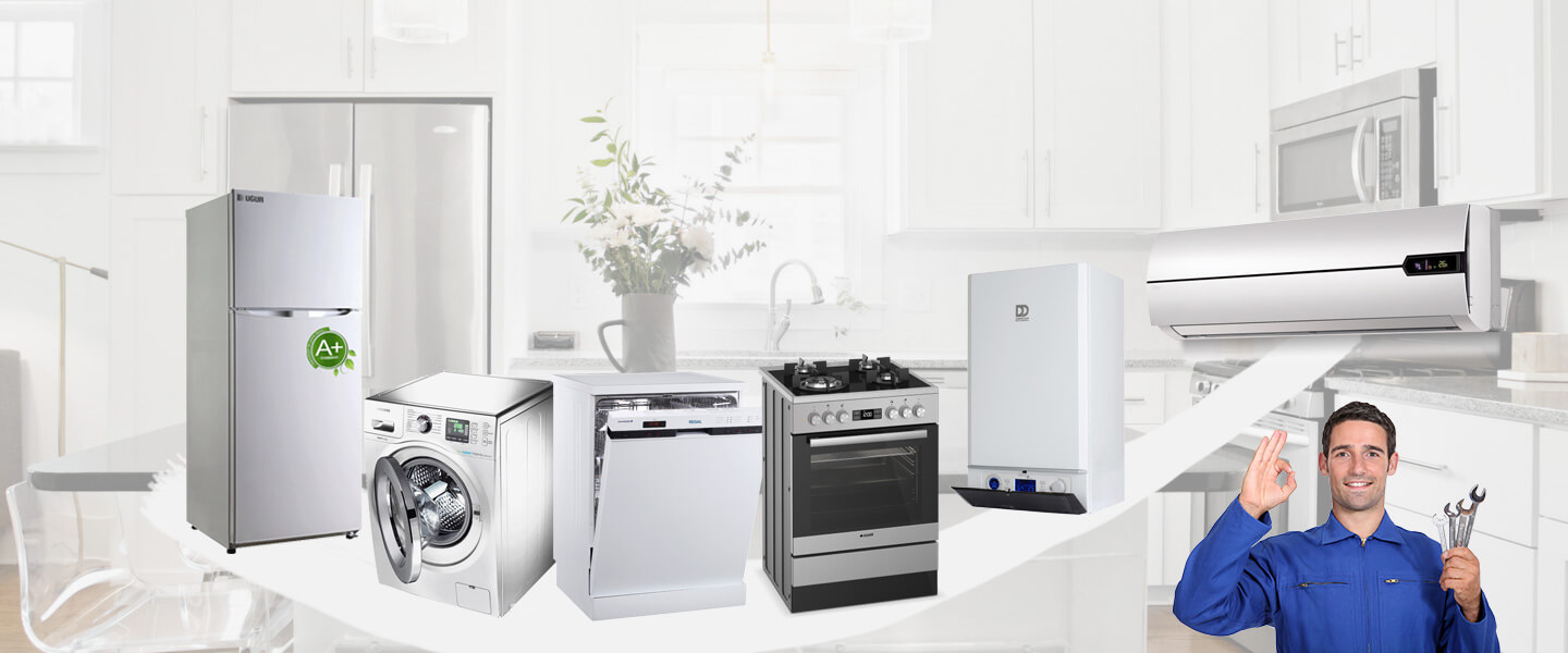 Eleşkirt Electrolux Servisi